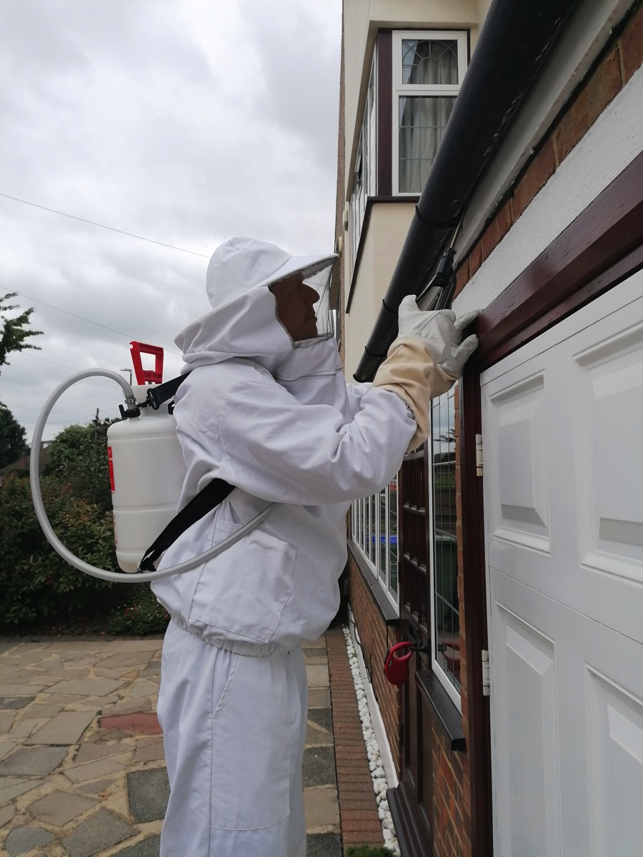 John spraying under the eaves