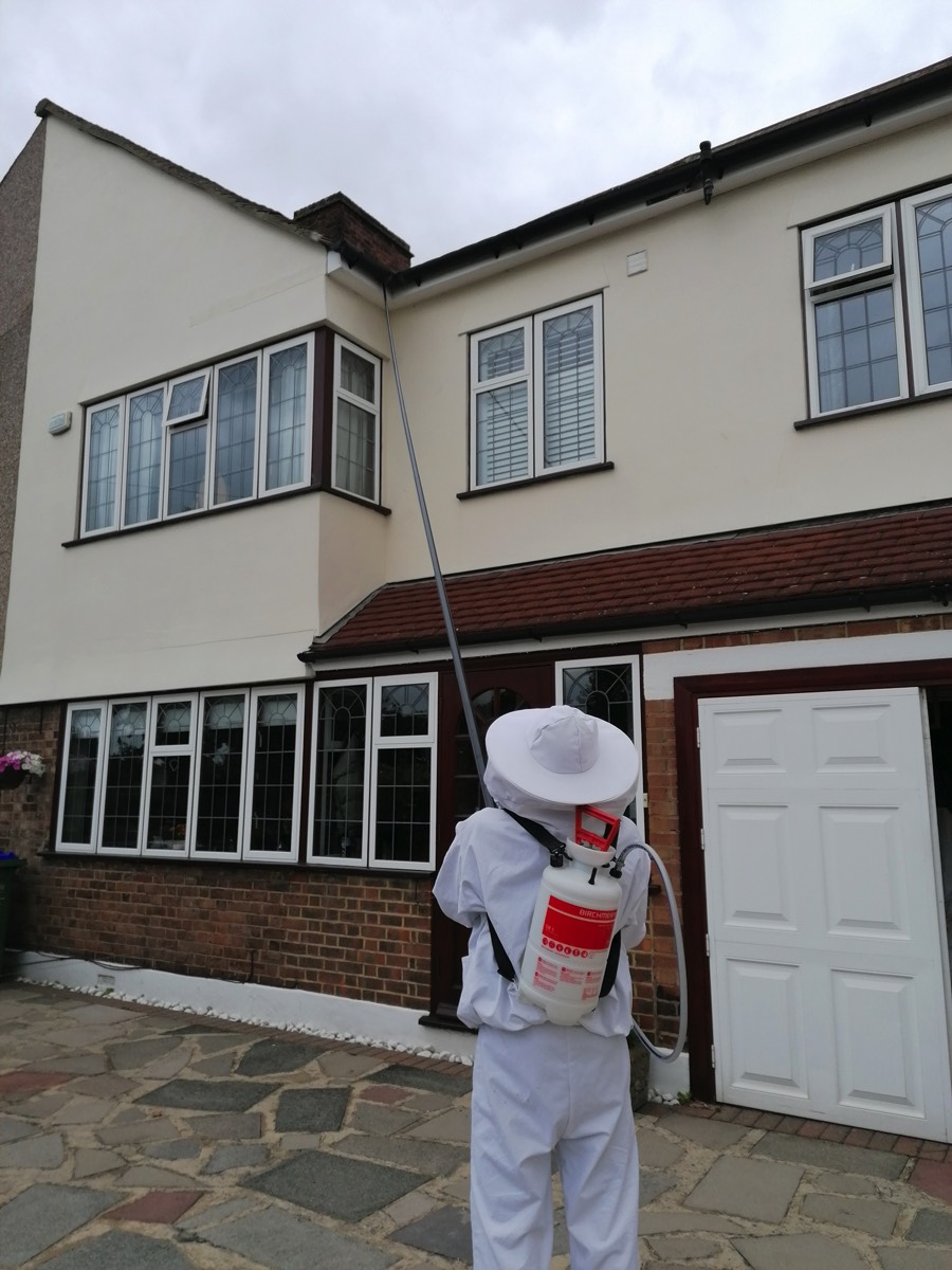 John using extension pole to spray under gutter