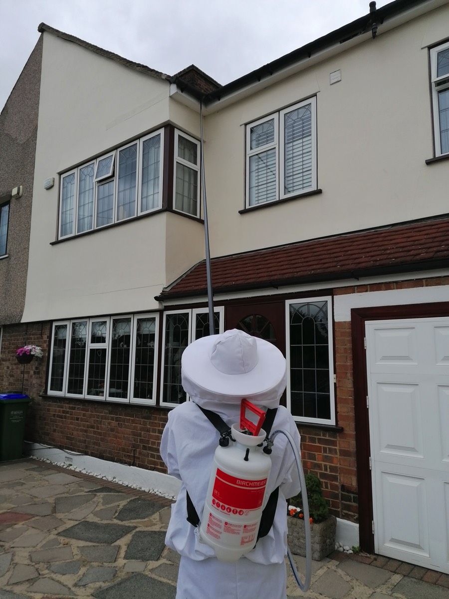 Using extension lead to spray under Gutter